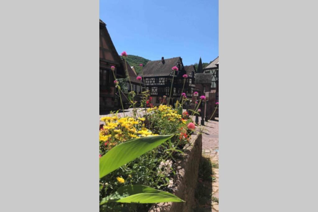 Coeur Alsace Colmar Exterior foto