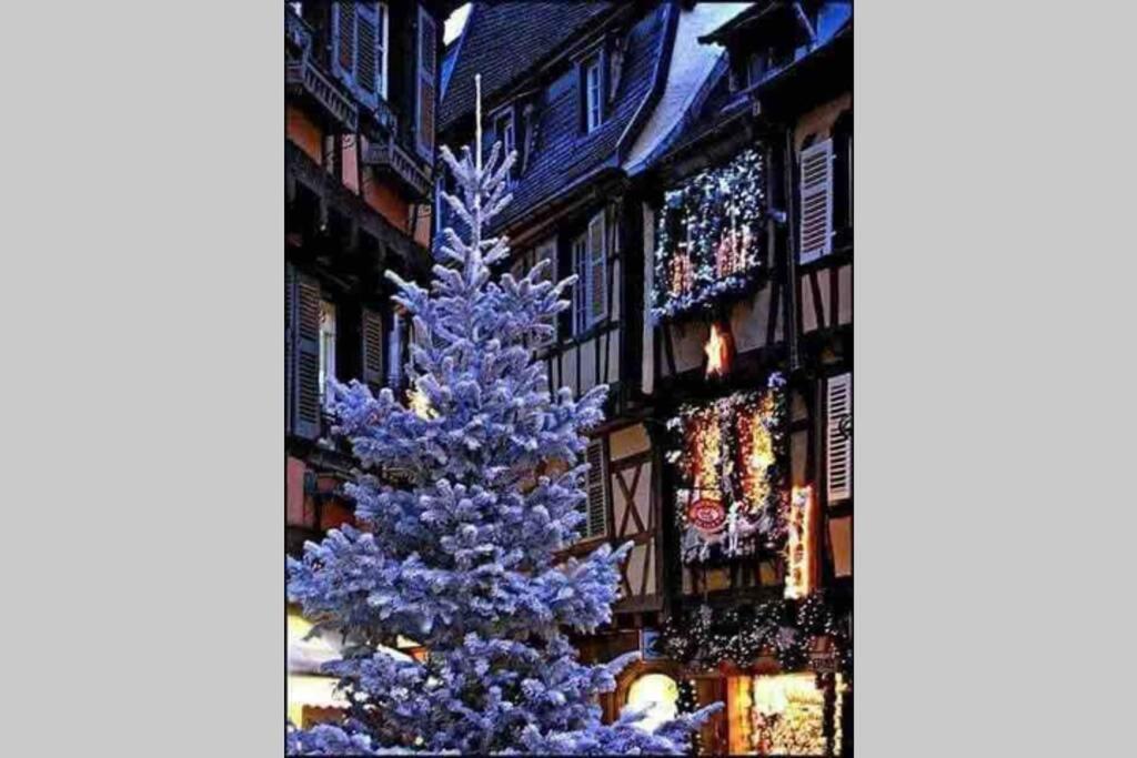 Coeur Alsace Colmar Exterior foto