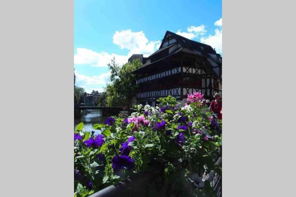 Coeur Alsace Colmar Exterior foto