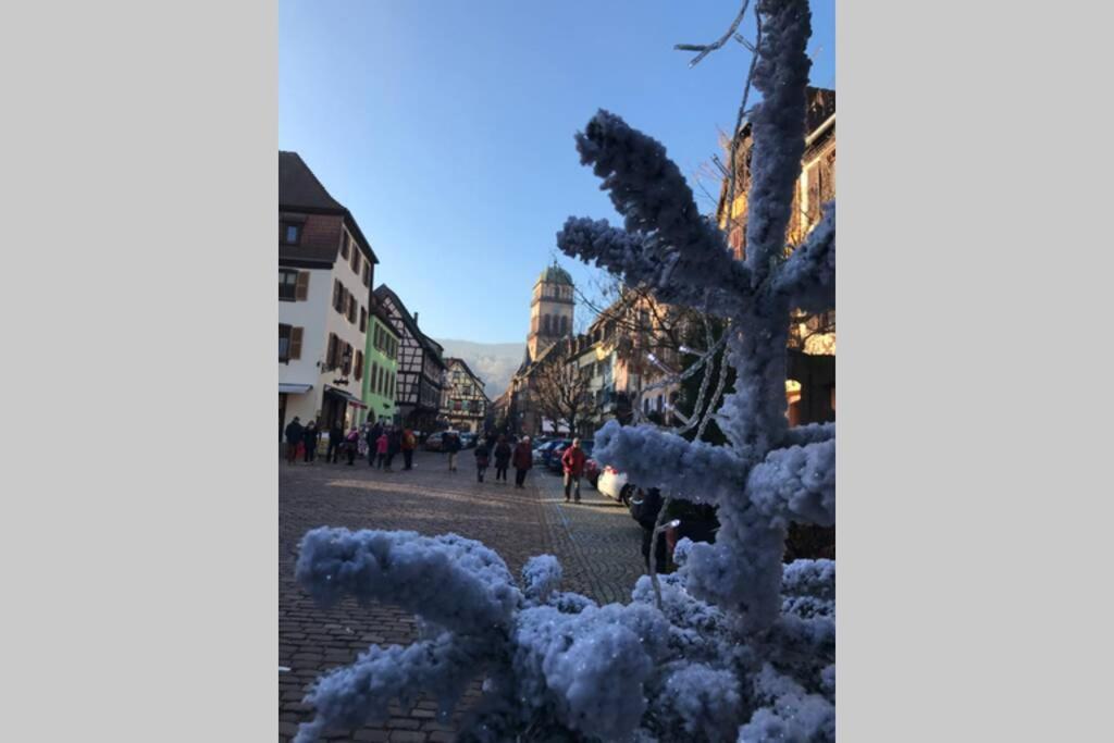 Coeur Alsace Colmar Exterior foto