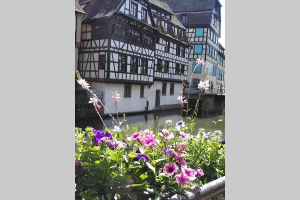 Coeur Alsace Colmar Exterior foto
